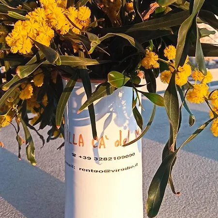 Cà Del Mar Affittacamere 4*