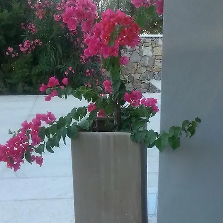 Pensjonat Ca Del Mar
