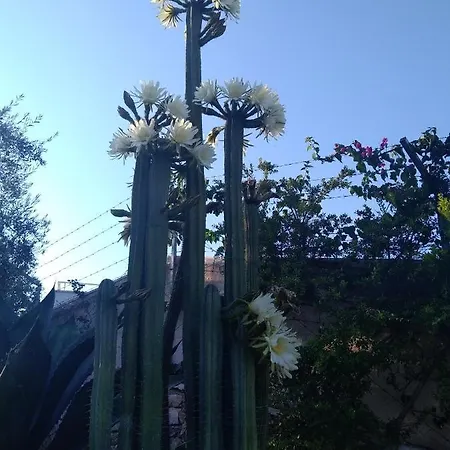Ca Del Mar Torre Vado